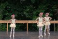 Show 01 217